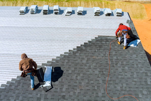 Best Shingle Roofing Installation  in Webster City, IA