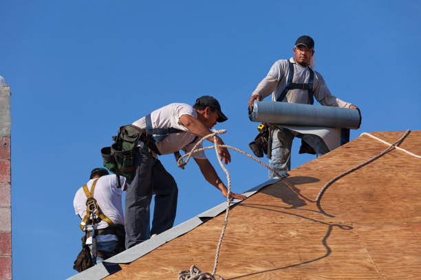 Best Roof Repair Services  in Webster City, IA