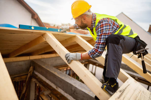 Best Local Roofing Companies  in Webster City, IA