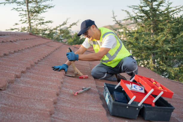 Best Residential Roofing Contractor  in Webster City, IA