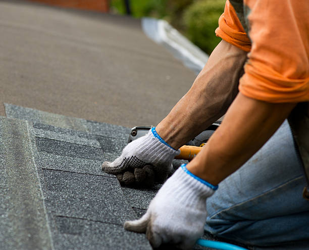 Quick and Trustworthy Emergency Roof Repair Services in Webster City, IA