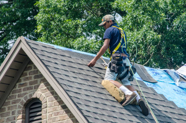 Best Affordable Roofing Company  in Webster City, IA